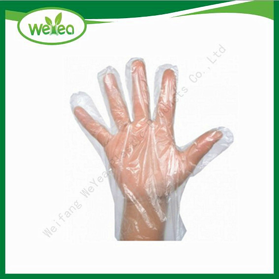 Poly Disposable Gloves