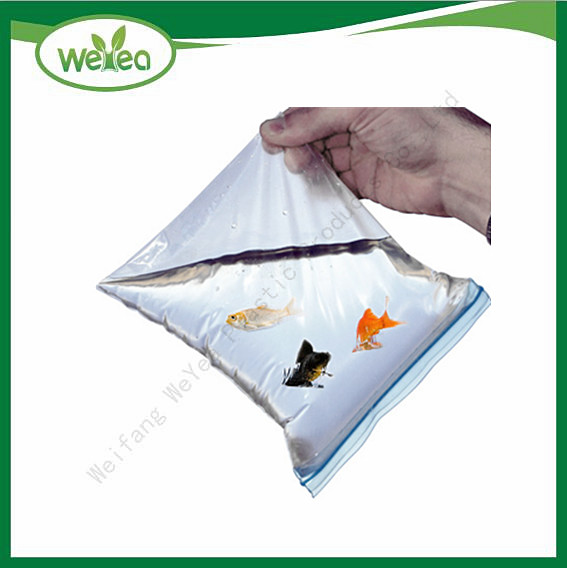 Polythene Zip Lock Bags