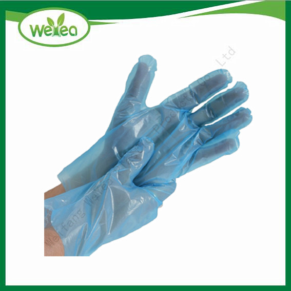 Poly Disposable Gloves For Food